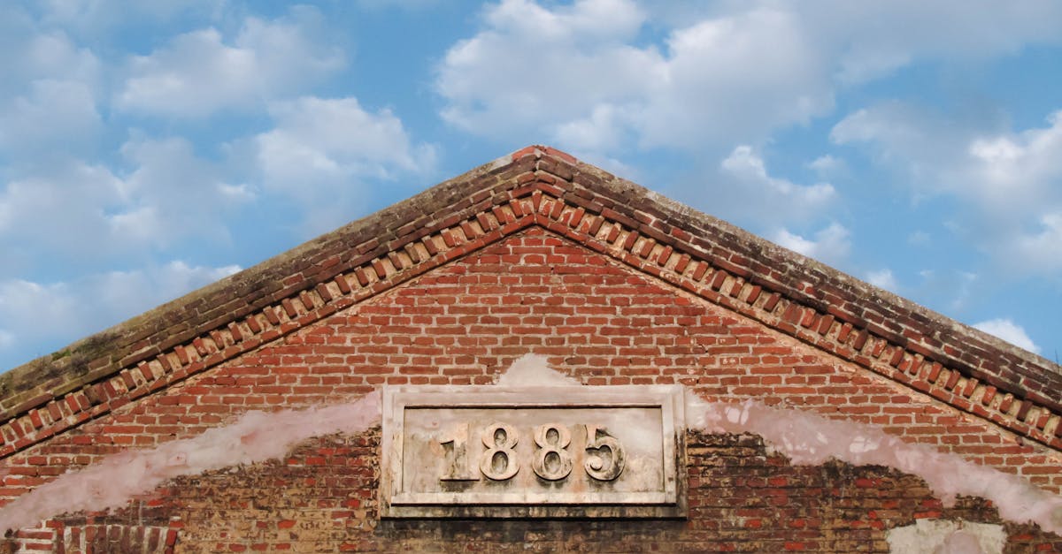 Roof Replacement Options